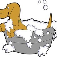 dog ga742b97a9 1280