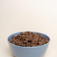 dry dog food g186c85d2f 1280