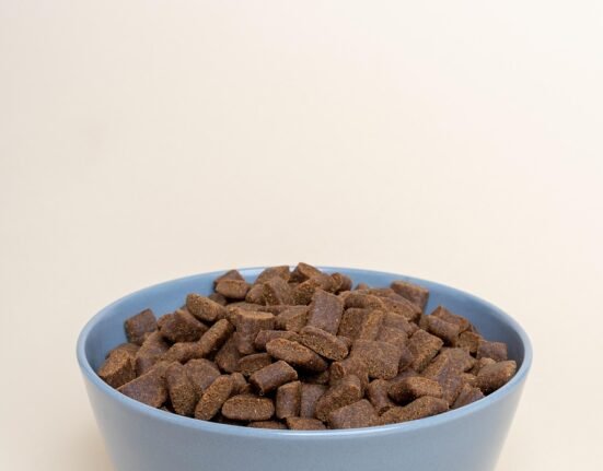 dry dog food g186c85d2f 1280