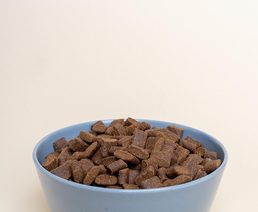 dry dog food g186c85d2f 1280