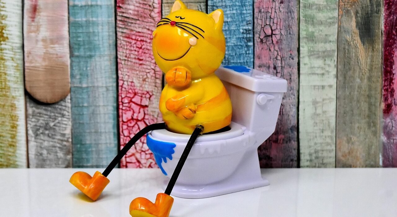 litter box g25e3c22c0 1280