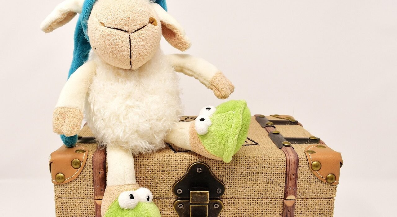 sheep gc72b84054 1280