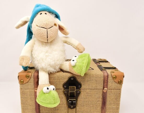 sheep gc72b84054 1280